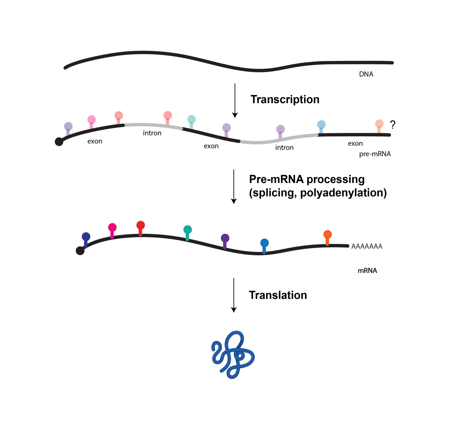 Martinez Lab » Research