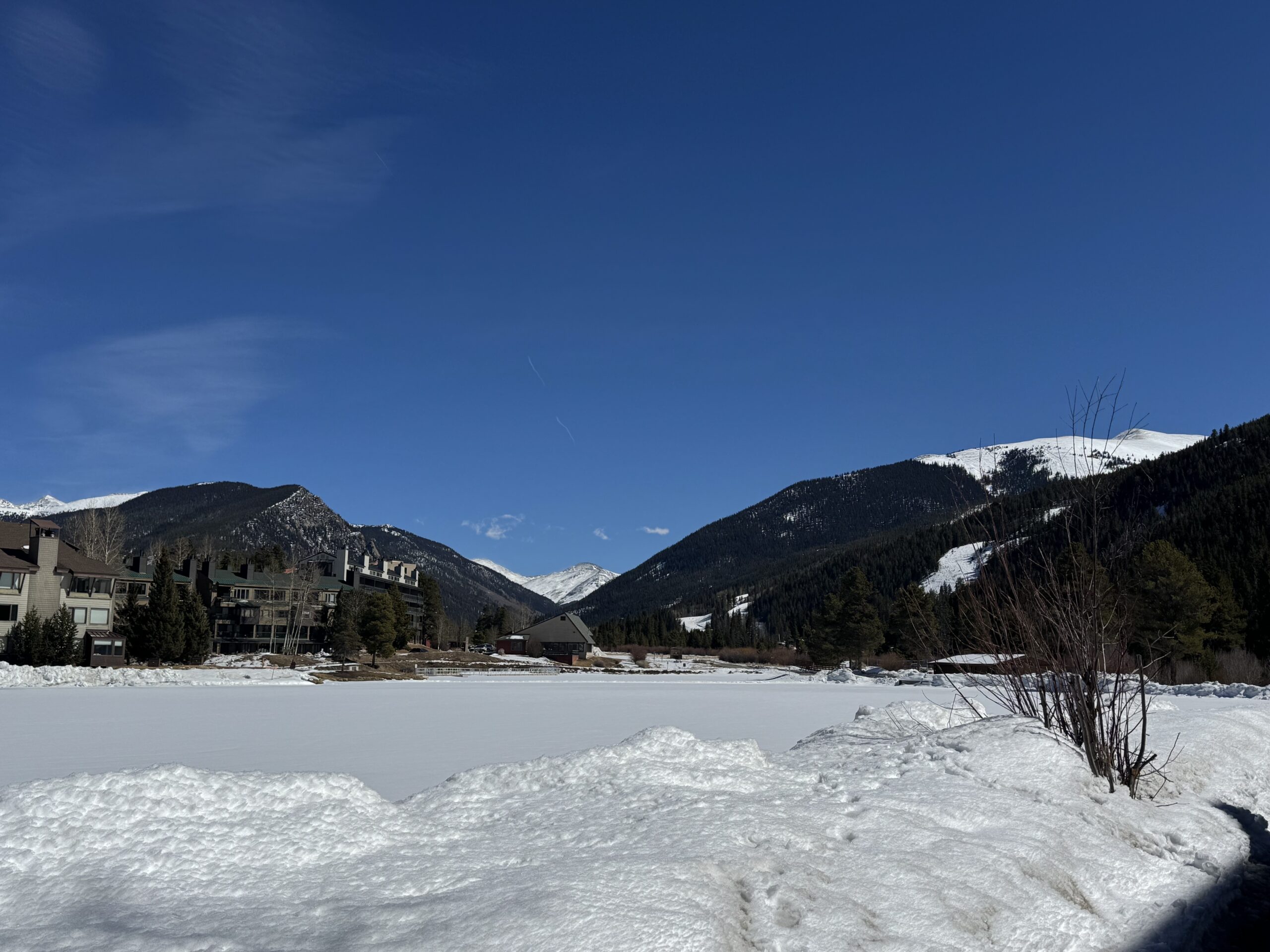 Nicole Presented at Two RNA Conferences This Month