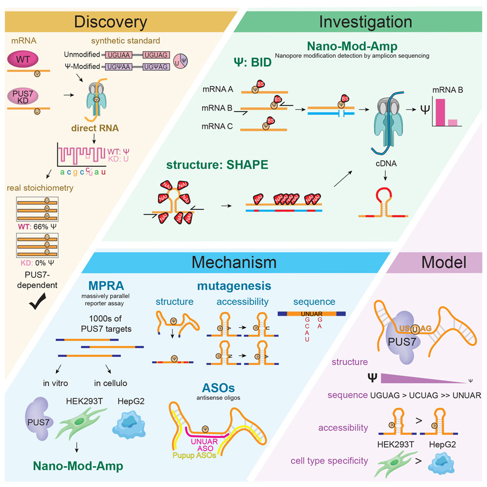 Our First Research Article is Out!